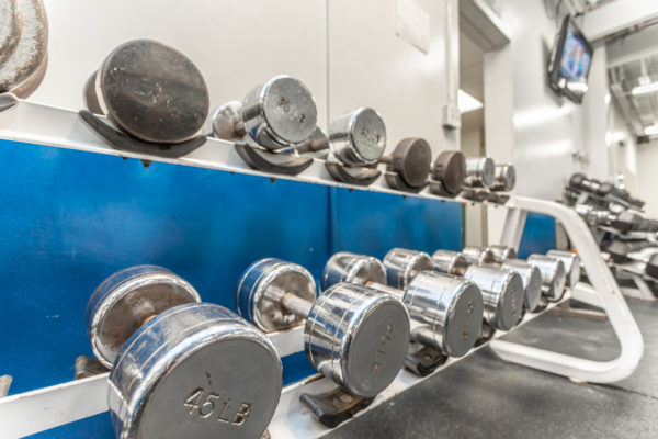 Delaware-Swim-and-Fitness-WEB-3 Delaware-Swim-and-Fitness-WEB-3